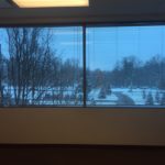 A view of trees and snow from the window.