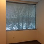 A window with a view of trees and snow.