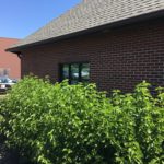 A building with bushes growing in front of it.