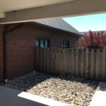 A brick wall and a wooden fence in the background.