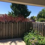 A backyard with a fence and plants in the background.